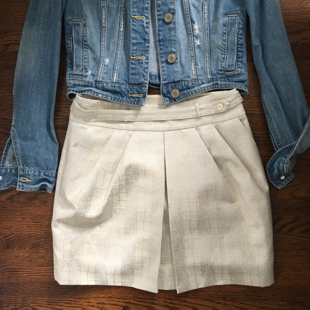 Club Monaco skirt
